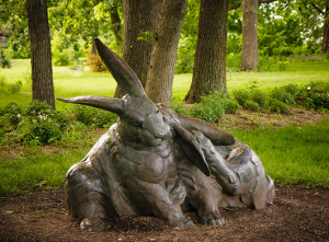 rabbit2