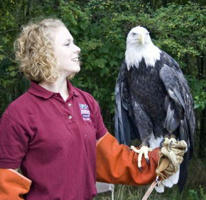 eagledemo-300x291