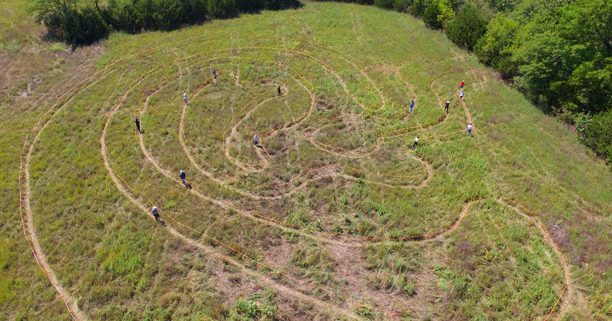 An aerial view of people walking a path that winds through a field of green grass